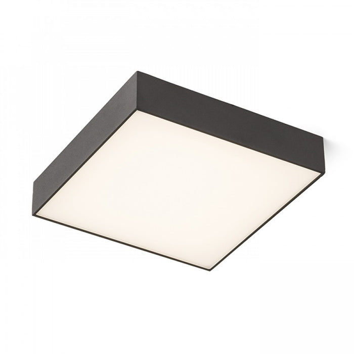 LARISA SQ -Ceiling Lamp