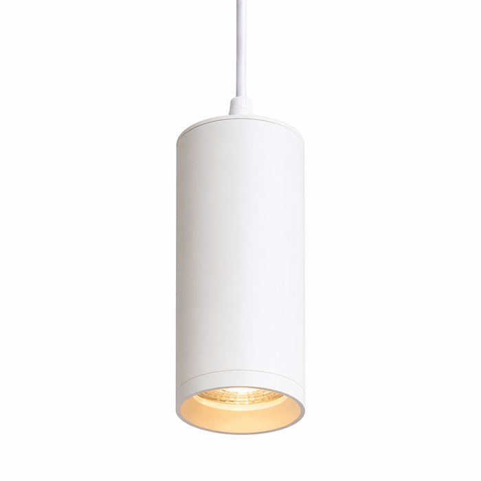 BELENOS - Minimal Pendant Spotlight (Rendl Light)
