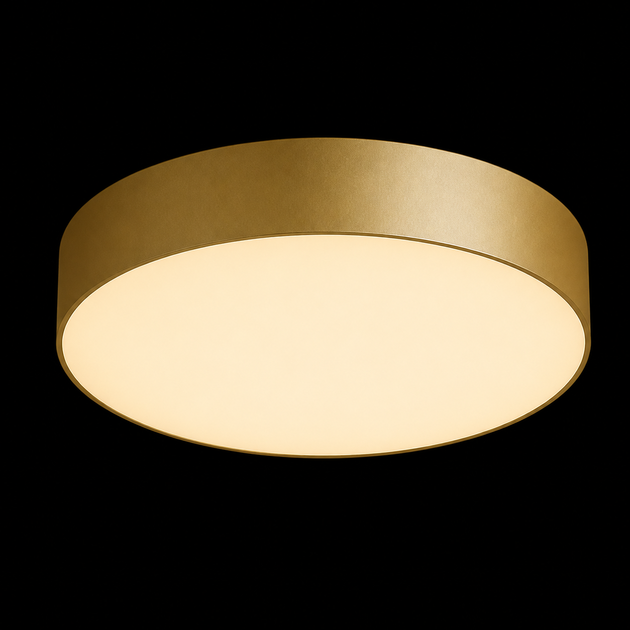 Ceiling Lamp