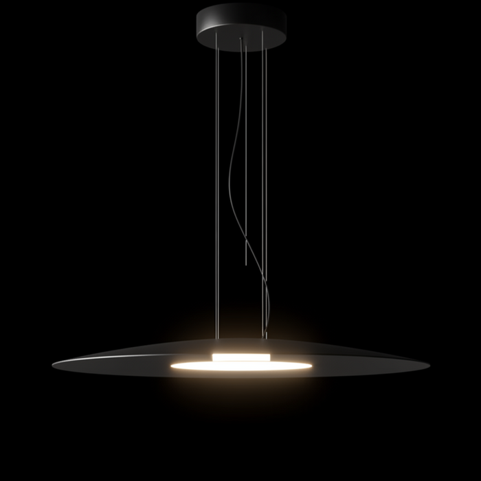 BIGCOSS Pendant Lamp – Indoor Pendant Light (AC Studio, Aromas del Campo)